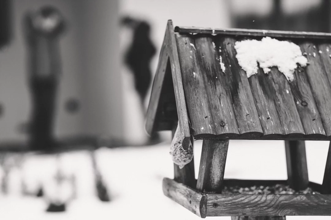 016 zimowa sesja narzeczenska waleriany puszcza marianska