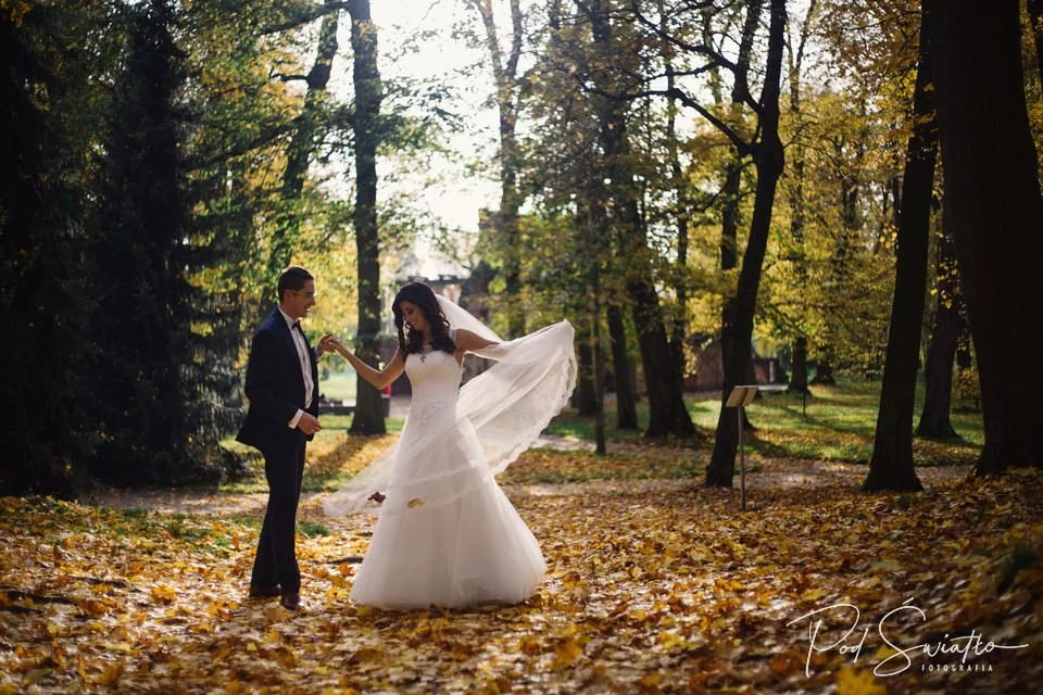 137 plener slubny nieborow arkadia