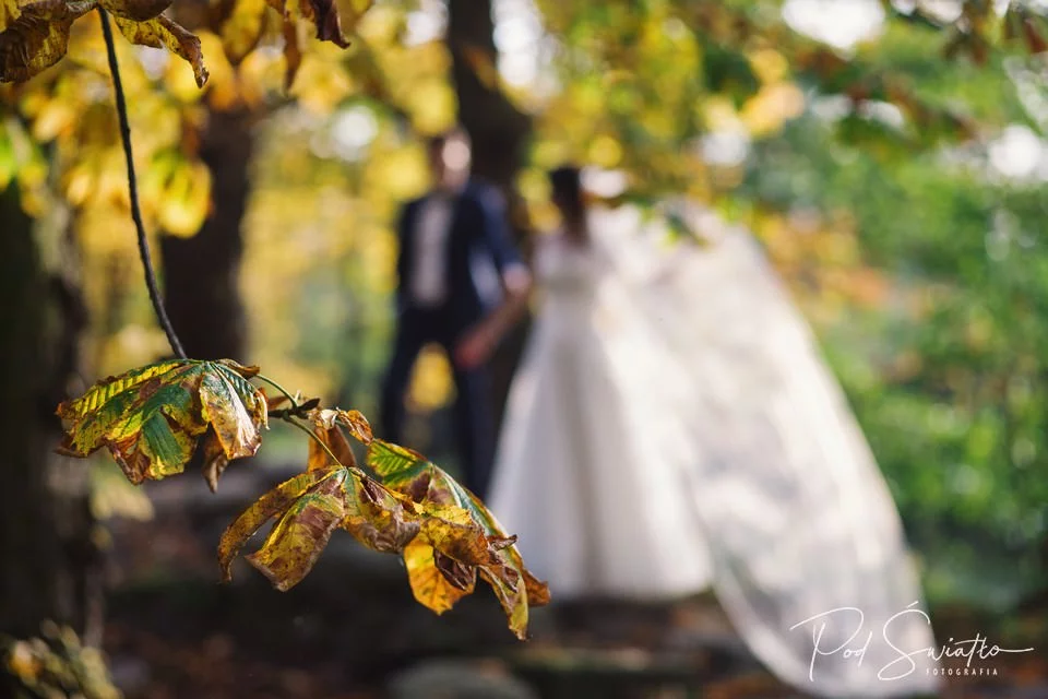 144 plener slubny nieborow arkadia